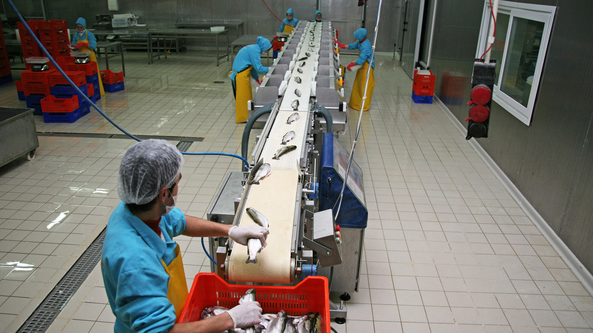 Food processing